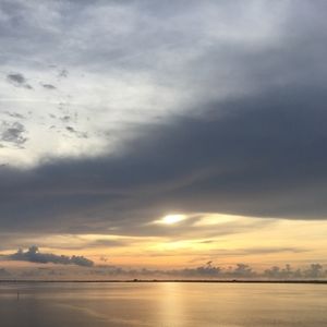 Meet your Posher, Dena